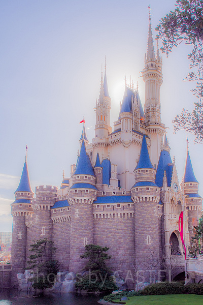 混雑を回避してディズニーリゾートを楽しもう♪