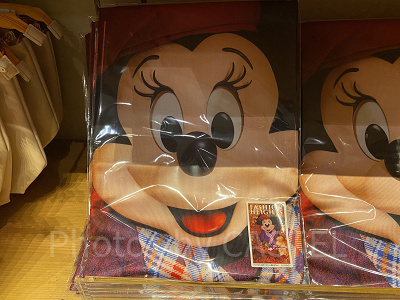 バスタオル(秋)