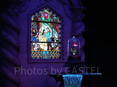 美女と野獣のアトラクションの乗り物酔い対策