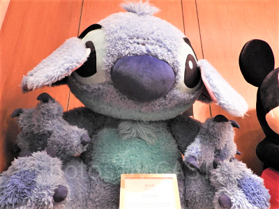 大きなサイズも！