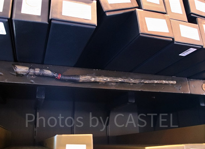 カバノキ(12/24~1/20)