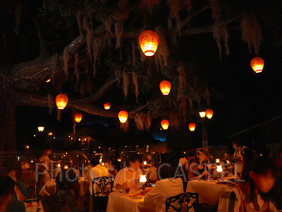 ブルーバイユー