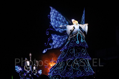 ブルーフェアリーのフロート