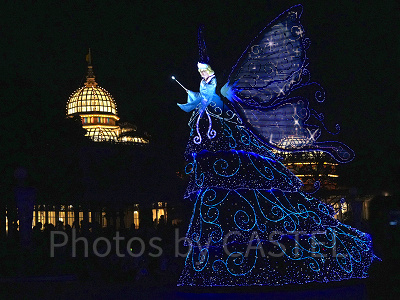 ブルーフェアリー