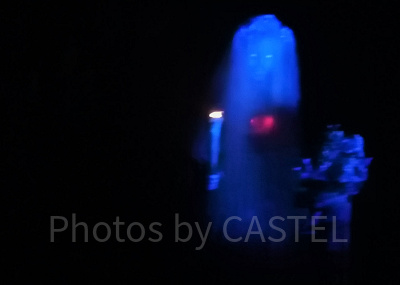 ホーンテッドマンションの花嫁は2人いる?