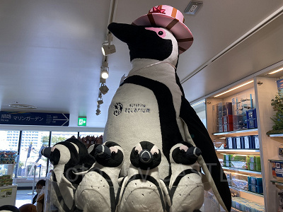 ケープペンギンぬいぐるみ