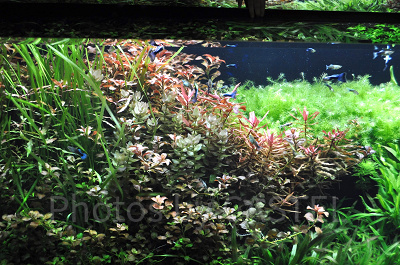 CAVEはじまりの洞窟/神戸アートミュージアムアトア