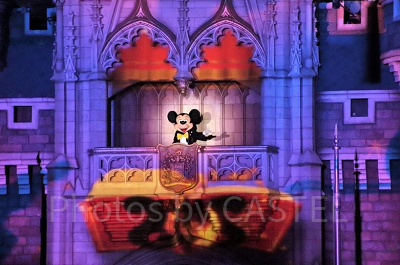 Celebrate! Tokyo Disneylandのミッキー