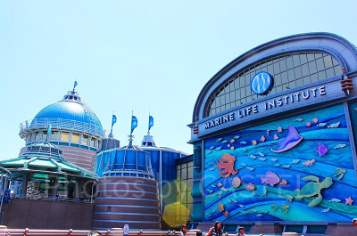 海洋生物研究所に住むキャラクター