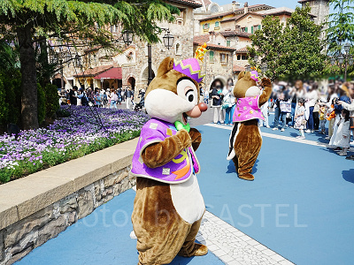 グリーティング中のチップとデール