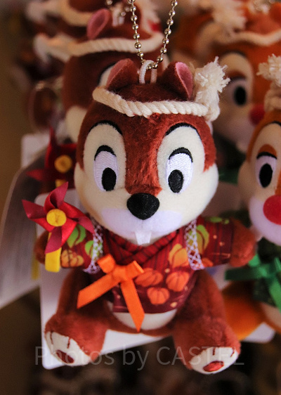 チップの夏ぬいば