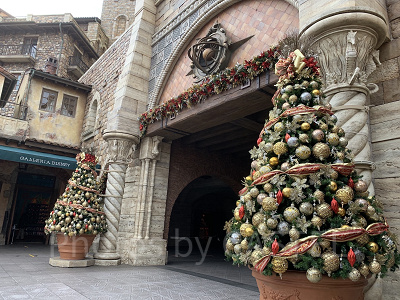 ディズニーシーのクリスマス