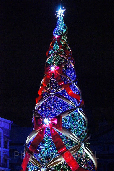 クリスマスツリ－