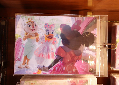 クリアファイル(表)