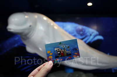 シロイルカと記念撮影