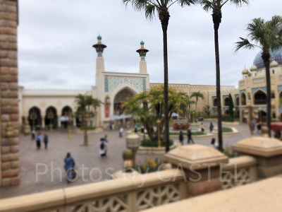 アラビアンコーストの混雑状況