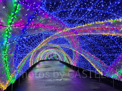 クロッシング・サファイヤ・パサージュ（写真は2021年度開催のよみうりランドイルミネーションより）