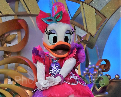 デイジーのスペル