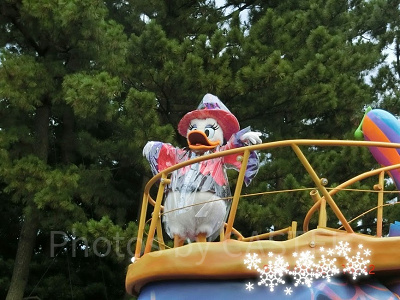 雨の中カッパ姿でパレードしてくれたデイジー