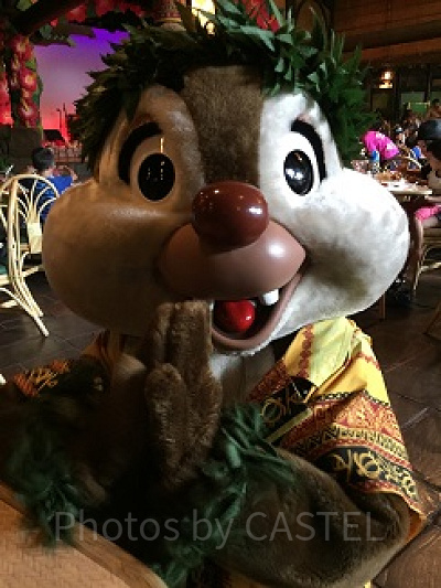 ポリネシアンレストランのデール