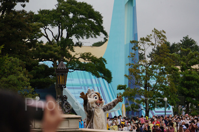 デールの耳にはデールの耳にフィットするレインコート