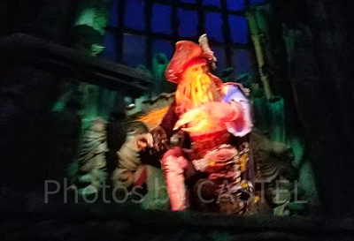 デイヴィ・ジョーンズ:ビル・ナイ(吹き替えキャスト:大塚芳忠)