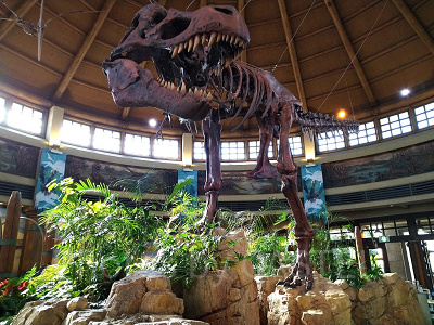 ディスカバリー・レストラン