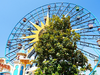 ディズニーカルフォルニアアドベンチャーのアトラクション：ピクサー・パル・ア・ラウンドはスウィングありとなしの2バージョンがある！