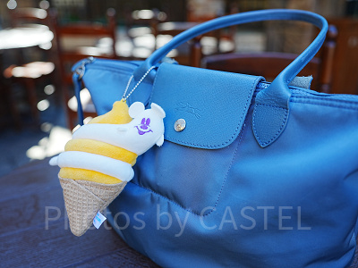 ディズニーデートの持ち物