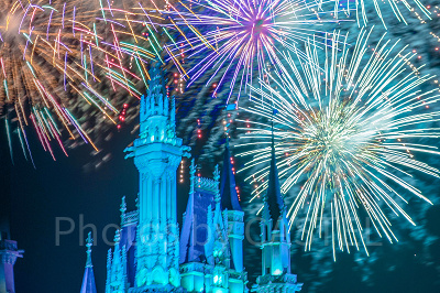 ディズニー・ライト・ザ・ナイト