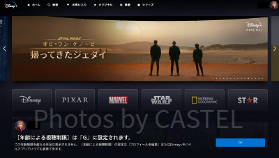 ディズニープラス:年齢制限表示