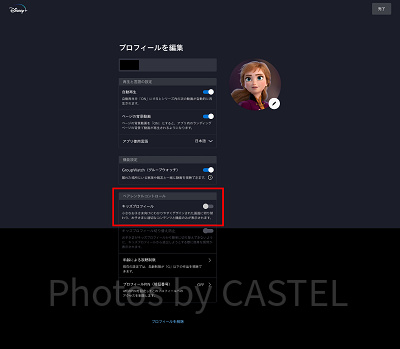 ディズニープラス：キッズプロフィール