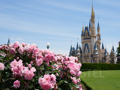 ディズニー春キャン2023の発売日・販売期間・販売場所