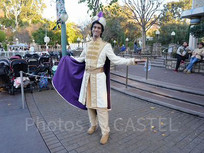 カリフォルニアアナハイムディズニー：アラジンとのフリーグリーティング