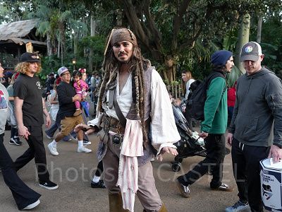 カリフォルニアアナハイムディズニー：ジャック・スパロウ