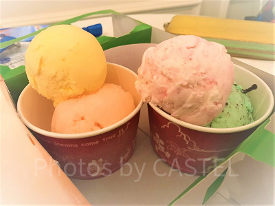 ディズニーランド食べ物：アイスクリーム