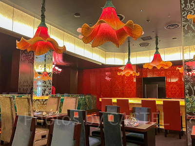 ディズニーランドホテル：カンナ