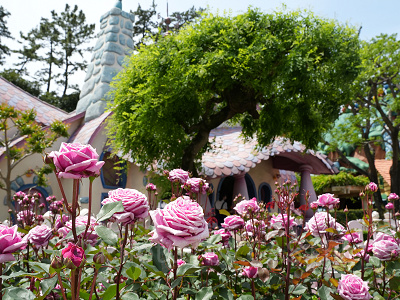 5月のディズニーランド