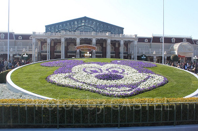 ディズニーランド