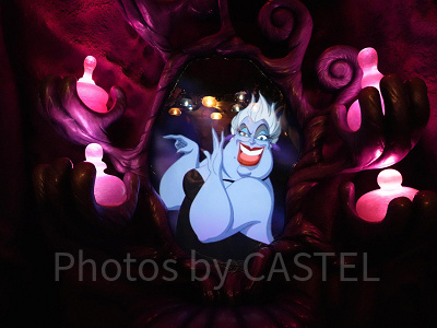 ディズニー】リトル・マーメイドに登場するヴァネッサの正体とは