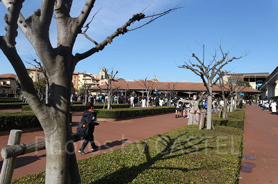 ディズニーシー3月混雑状況レポート：リゾートゲートウェイ・ステーション（9:20頃）