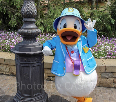 ディズニー・パルパルーザ第2弾「ドナルドのクワッキー・ダック