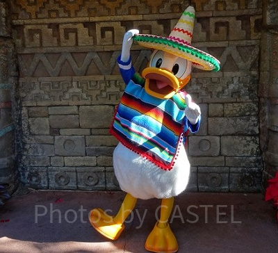 ドナルドダック