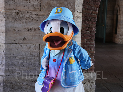 ディズニーシーで会えるドナルド