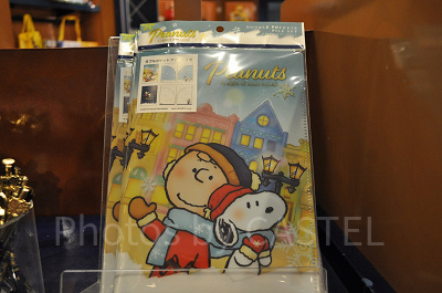 ダブルポケットファイルセット（2枚）