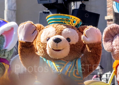 Disney - ディズニー 公式 ダッフィー 着ぐるみ パーク内完売品 ダッフィー&フレンズのグッズ｜ Duffy and Friends｜ 東京
