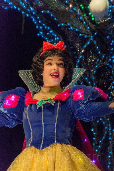 エレクトリカルパレード 白雪姫（TDL・夜） 設定：300㎜ SS1/100 F6.3 ISO3200