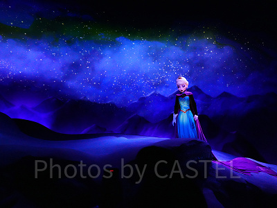 徹底レビュー】アナとエルサのフローズンジャーニーは落ちる！？怖い