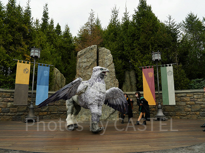 USJ魔法生物との出会い/ヒッポグリフ