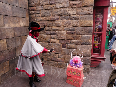 USJ魔法生物との出会い/ピグミーパフ